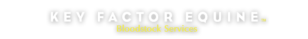 Key Factor Equine BloodStock Services